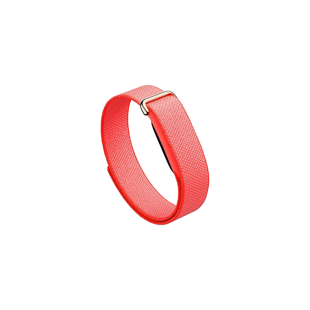 Watch Google Fitbit Air - Berry
