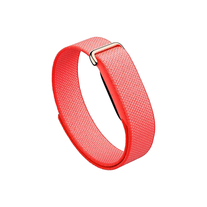 Watch Google Fitbit Air - Berry