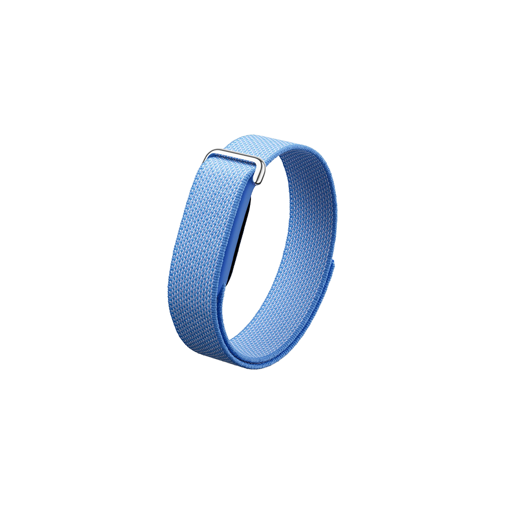 Watch Google Fitbit Air - Lavender