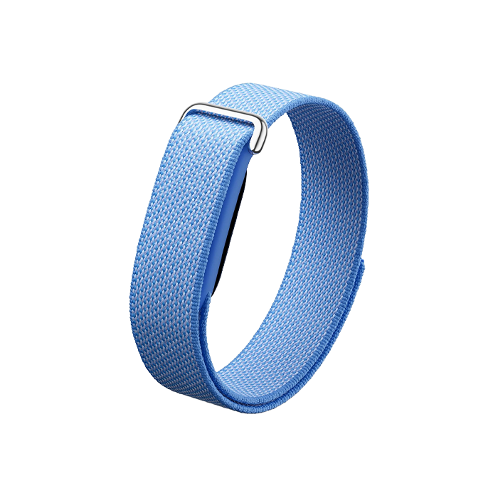 Watch Google Fitbit Air - Lavender